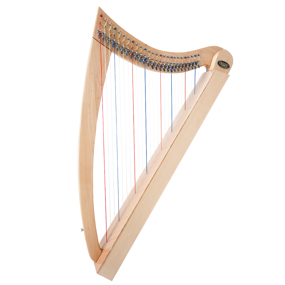 protect-your-starter-harp-with-total-harpcare-harpli